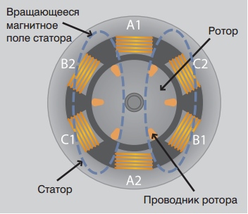 поляризация ротора поляризация ротора