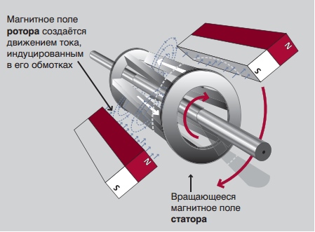 Магнитное поле ротора Магнитное поле ротора