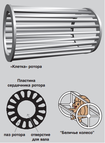 беличье колесо - короткозамкнутый ротор беличье колесо - короткозамкнутый ротор